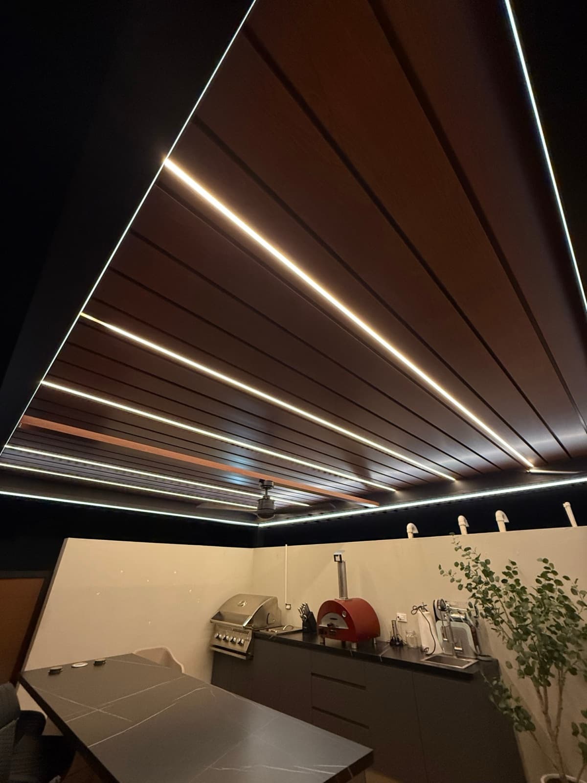 Colección Aura zenith